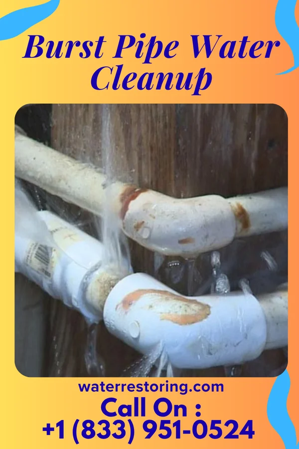 Burst Pipe Water Cleanup in Portage, PA