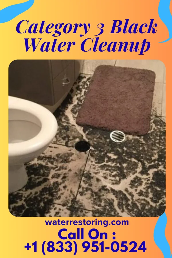 Category 3 Black Water Cleanup in Portage, PA