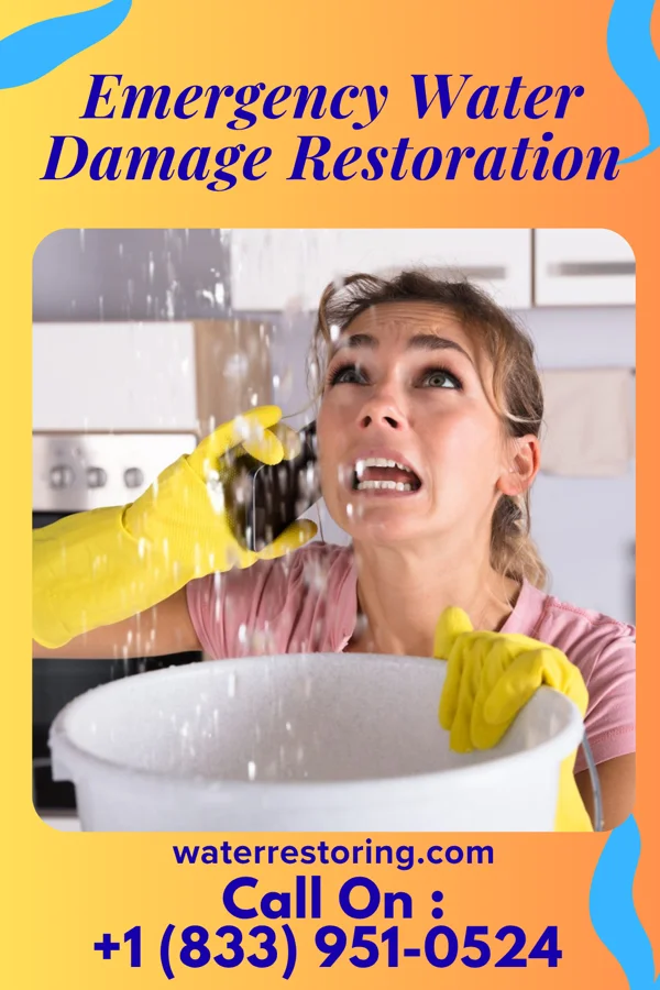 Emergency Water Damage Restoration in Portage, PA