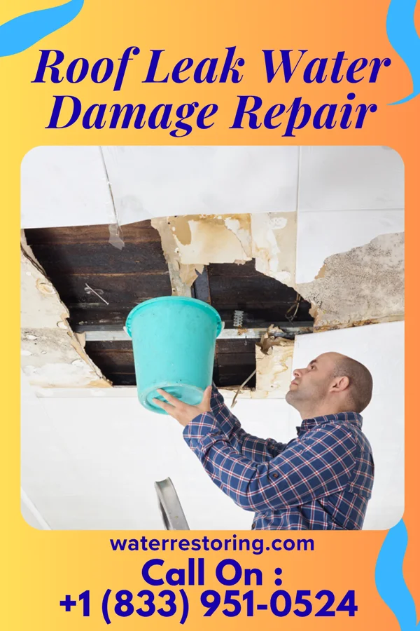 Roof Leak Water Damage Repair in Portage, PA