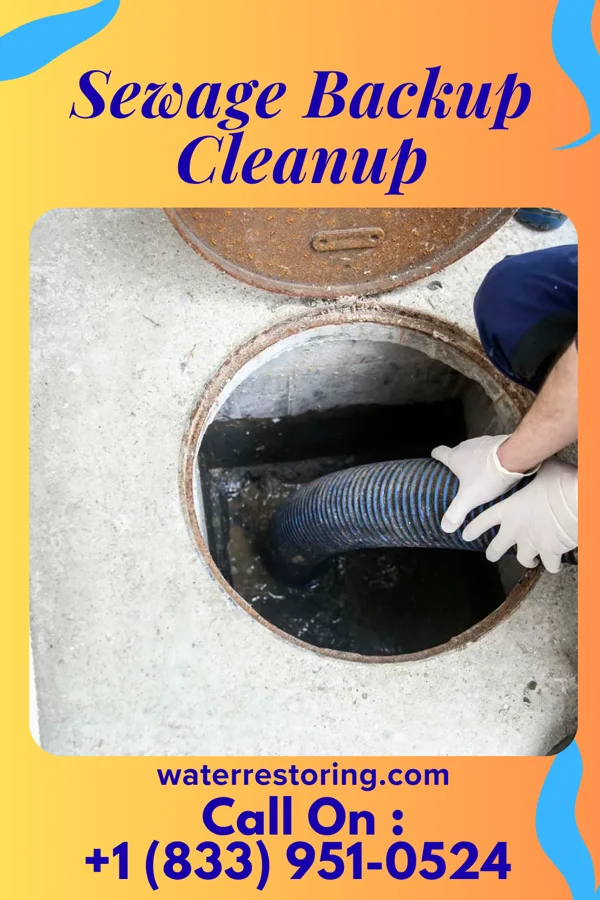 Sewage Backup Cleanup in Portage, PA