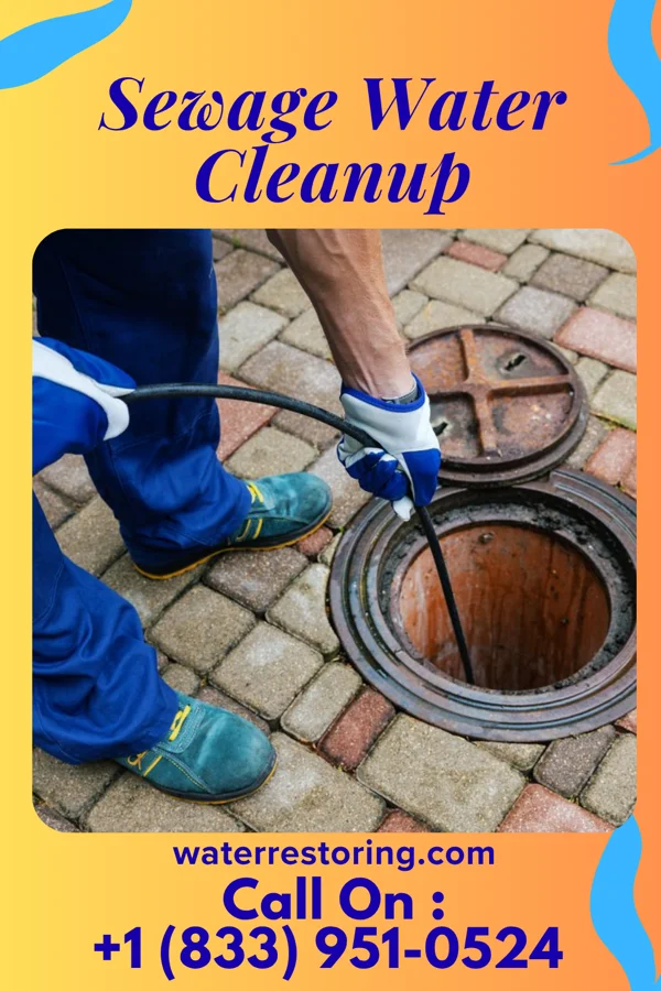 Sewage Water Cleanup in Portage, PA