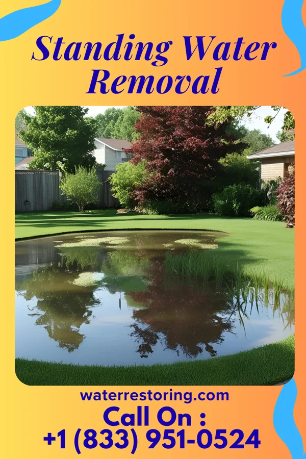 Standing Water Removal in Portage, PA